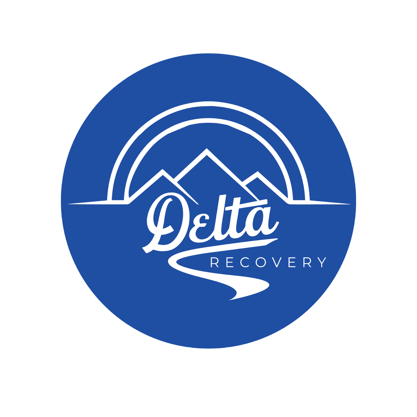 Case Study Delta Recovery Solutions, A Nonprofit Organization